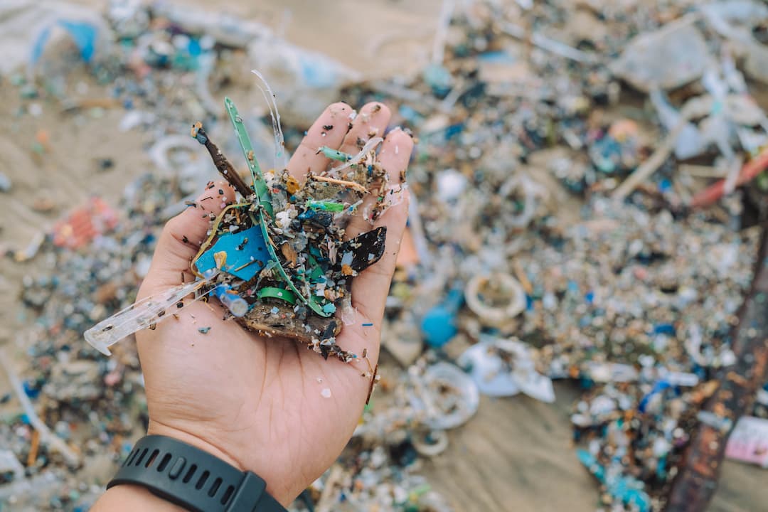 The Plastic Treaty is delayed, but the movement grows stronger featured image