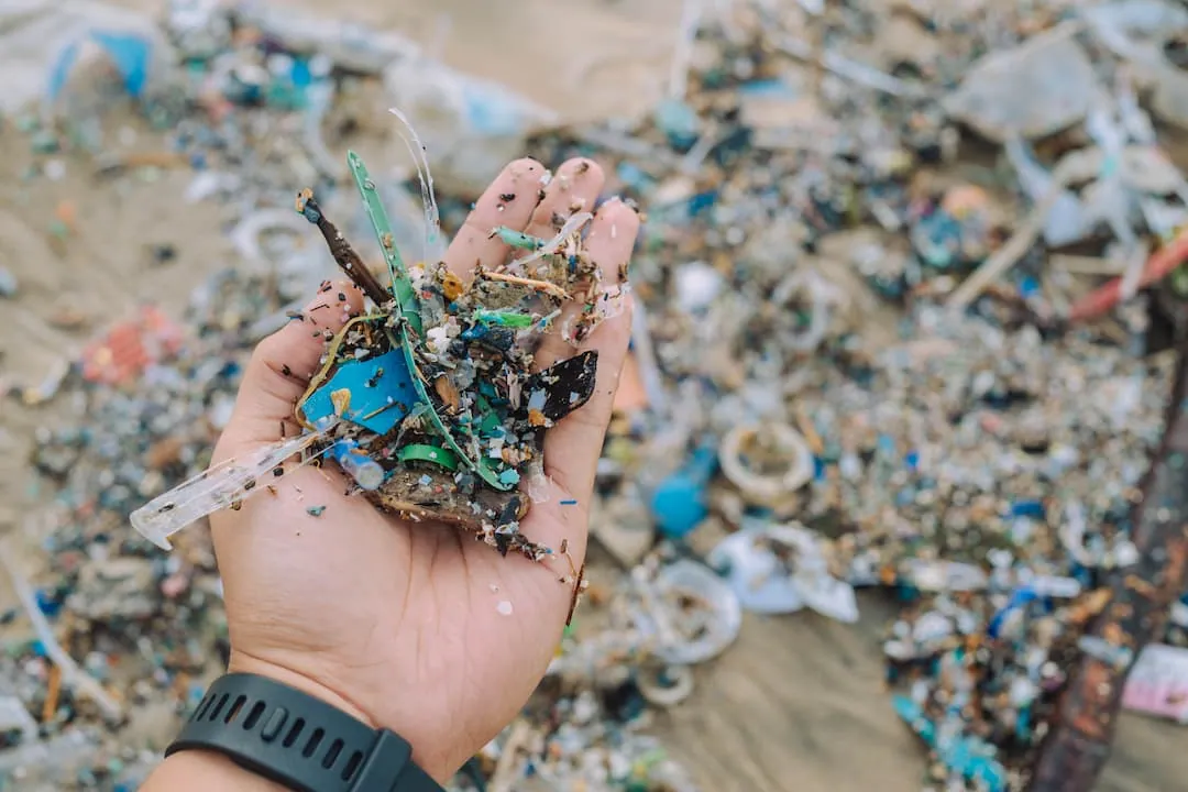 A hand with microplastics with beach full of microplastic in the background
