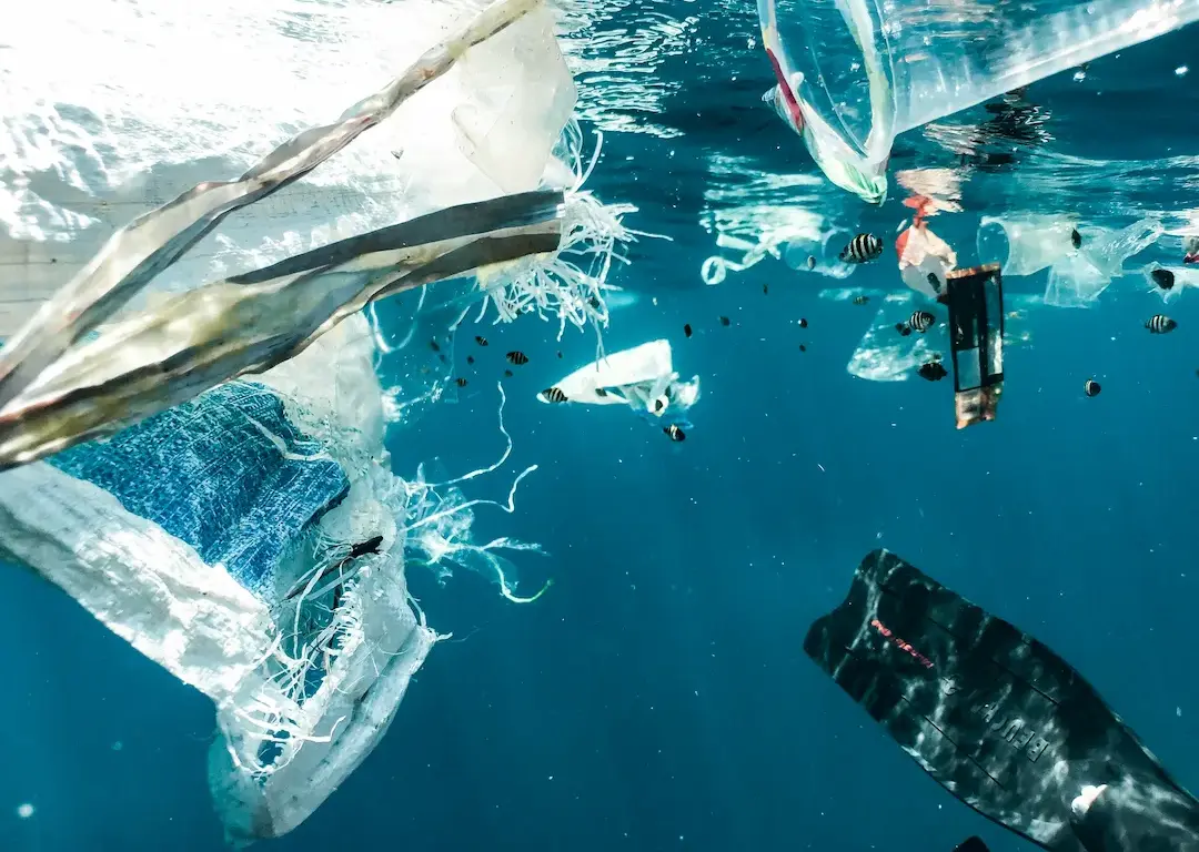 Beneath the surface: What plastic pollution steals from the sea