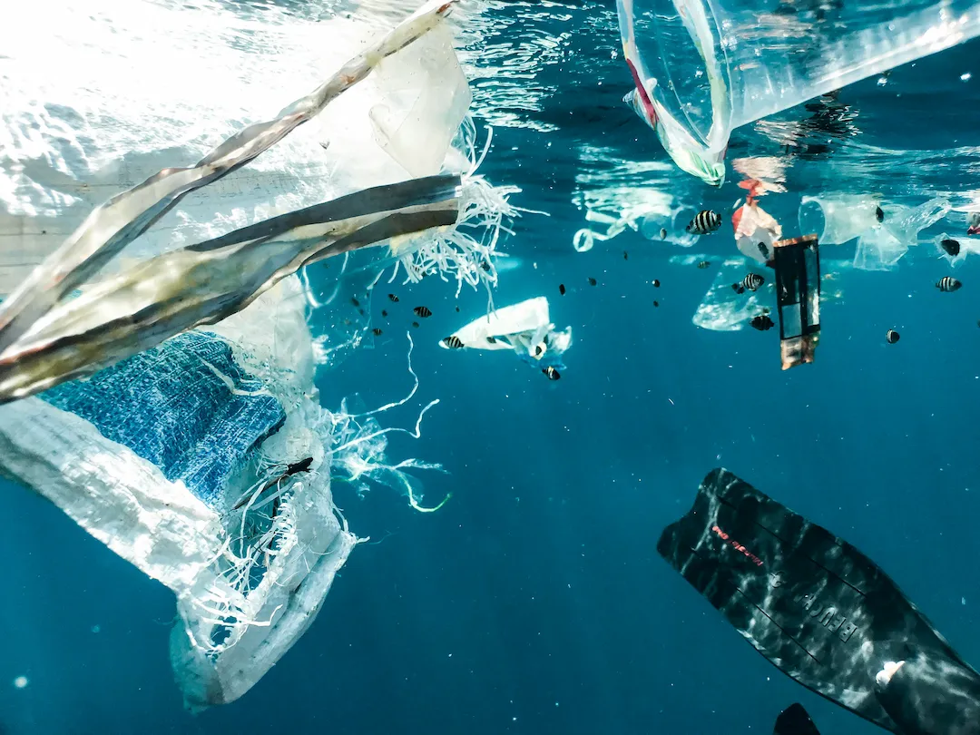 Plastic waste floating in the ocean