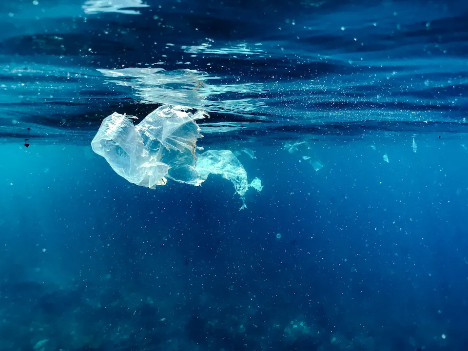 Plastic Bag floating in the ocean