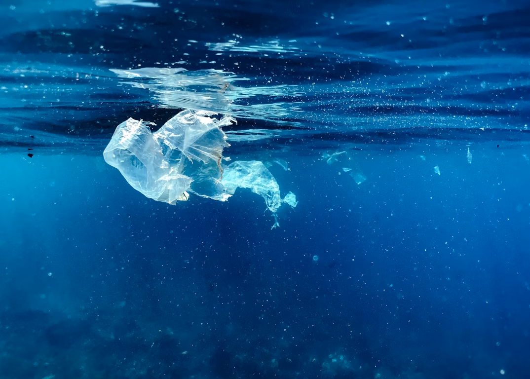 Plastic Bank vs 4ocean: The Difference Between Prevention and Extraction