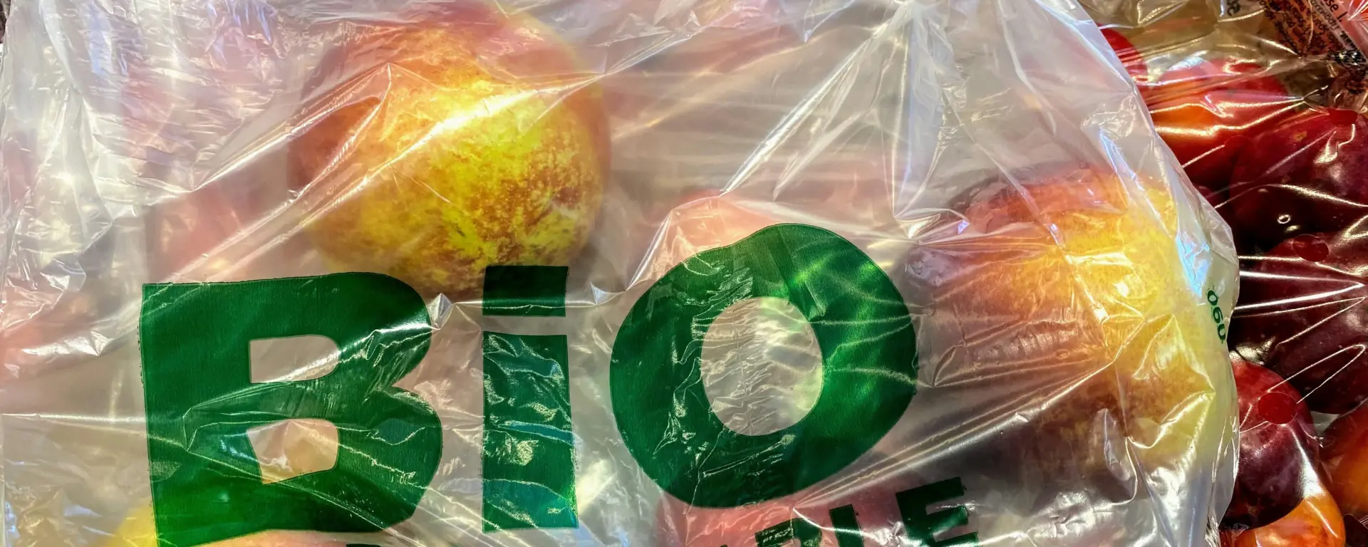 Bioplastics and EPR in the Philippines: Key challenges for businesses
