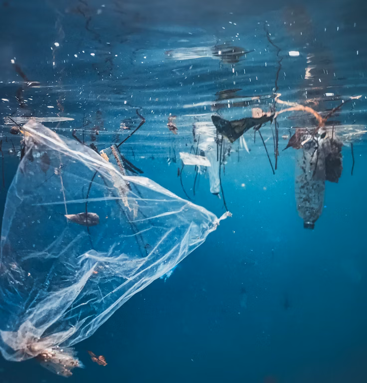 Plastic Bank vs Waste Free Oceans: Two Economic Models for Putting People to Work on Plastic