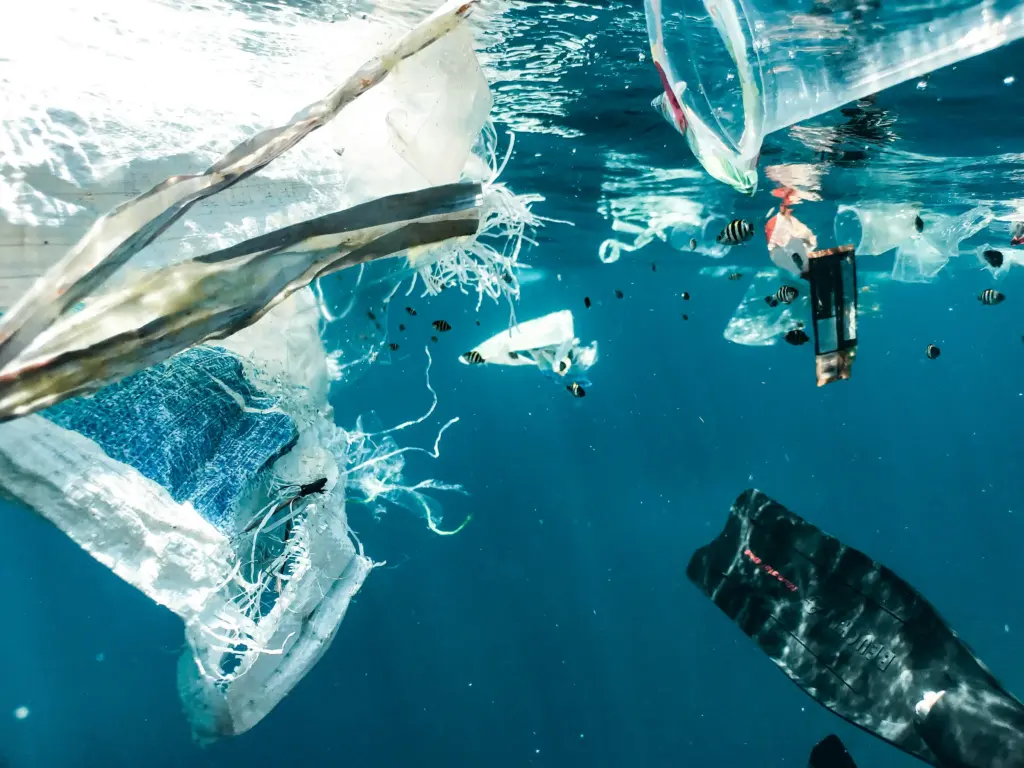 plastic pollution